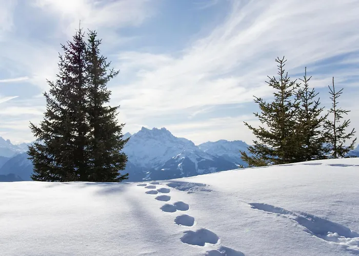 Vermont 8 By Interhome